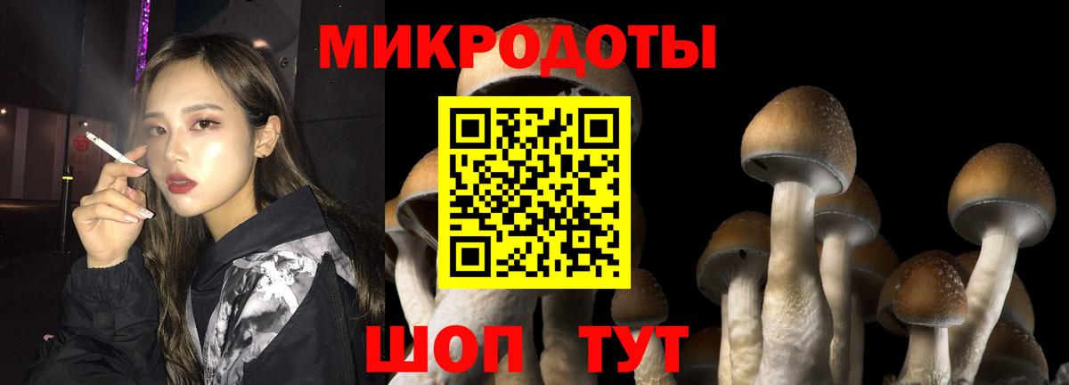 Галлюциногенные грибы MAGIC MUSHROOMS  Вход с VPN  Алексин  Галлюциногенные грибы Psilocybe 